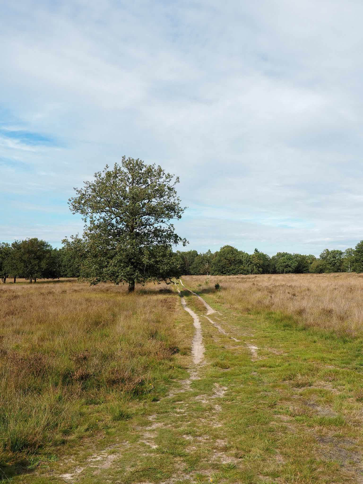 Drenthe ontdekken